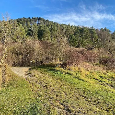 Am Steinberg Apartment