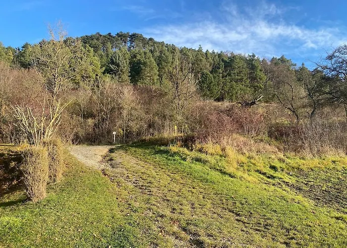 Am Steinberg Appartement