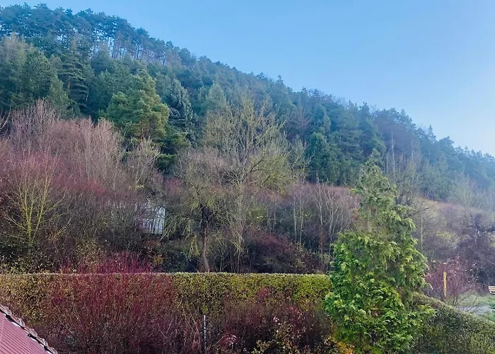 Am Steinberg Appartement *